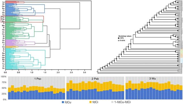 Analysis of data collected in a systematic investigation for all taxa of Populus on the Q-T plateau, indicating 31 taxa from the two sections, sect. Leucoides and sect. Tacamahaca.