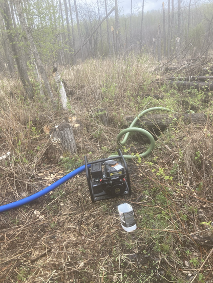 Pump with intake hose in a beaver canal