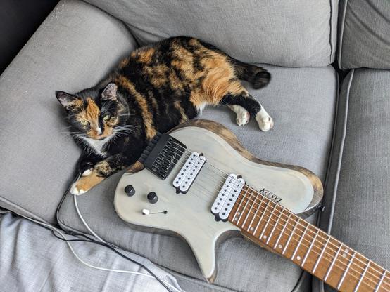 calico cat lying awake on a grey couch beside a 8 string white guitar on the corner of the couch. gray couch on the background. she's cozy and looking at the camera, her tail is touching the body of the guitar.