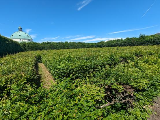 Überraschenderweise waren die Hecken des Labyrinthes deutlich wilder, als sonst im Blumengarten. Kuppel des Pavillon im Hintergrund