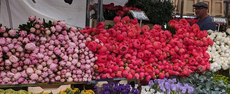 Mounds of peonies at the market