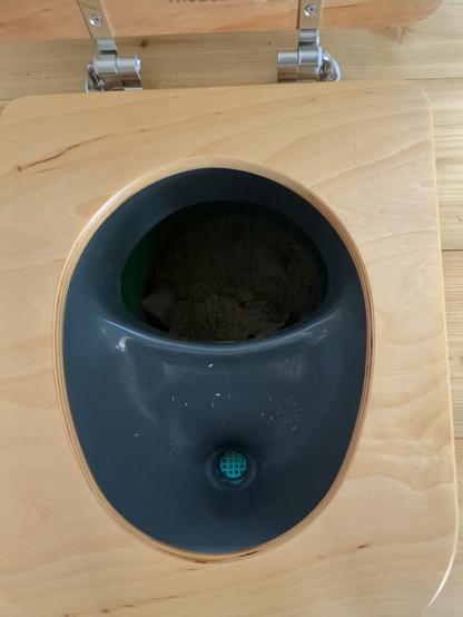 Blick in den Toilettensitz. Ein dunkelgrauer Kunststoffeinsatz mit zwei Öffnungen. Hinten groß, für's Große, vorne ein Trichter für's Kleine.