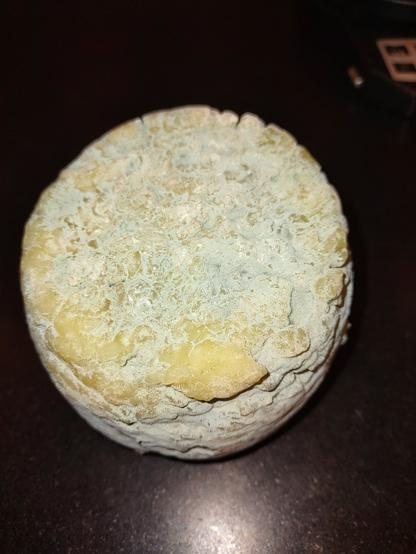 a wheel of homemade blue cheese.