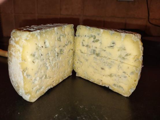 a wheel of homemade blue cheese, cut open so expose the veining.