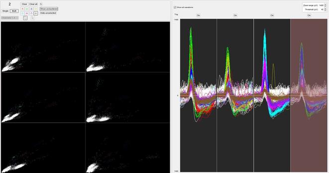 Screenshot of a live tetrode recording in hippocampus showing the activity for 1 tetrode and the different channel projections (peak amplitude on q
1 vs 2, 1 vs 3 etc.) 
Individual clusters are highlighted in different colors. They are very clearly separable. They are all potential place cells as their waveform is pyramidal. 8 clusters are shown here but there are probably more