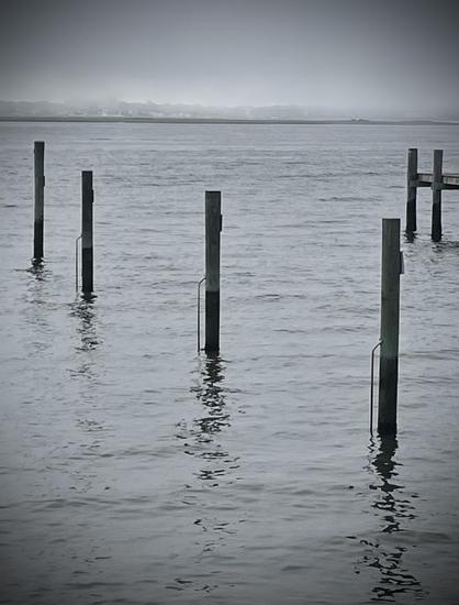 Pilings in the bay, with a misty shore in the background.