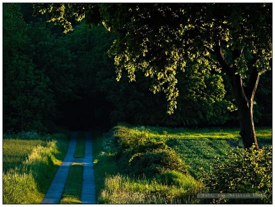 Feldmark, Feldwege und Waldinseln im warmen Streiflicht der tiefstehenden Abendsonne im nördlichen Kreis Plön.