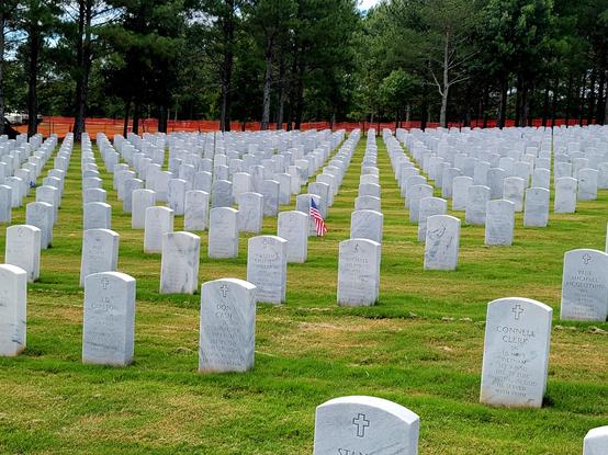 Color Photo
Dozens of white tombstones of military veterans.  One single USA Flag.