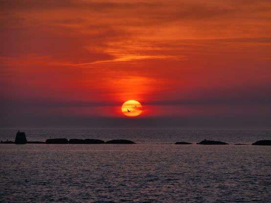 A vivid orange and red sunset with purple clouds over a calm lake. Two small birds are occluding the sunset. 

f10, 1/800, iso400, 300mm