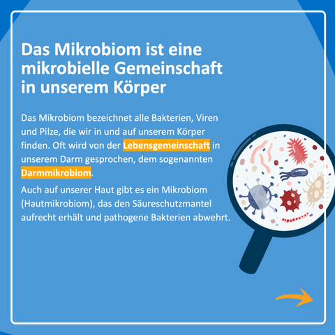 Das Mikrobiom ist eine mikrobielle Gemeinschaft in unserem Körper

Das Mikrobiom bezeichnet alle Bakterien, Viren und Pilze, die wir in und auf unserem Körper finden. Dabei wird zumeist von der Lebensgemeinschaft in unserem Darm gesprochen, dem sogenannten Darmmikrobiom.

Auch auf unserer Haut gibt es ein Mikrobiom (Hautmikrobiom), das den Säureschutzmantel aufrecht erhält und pathogene Bakterien abwehrt.