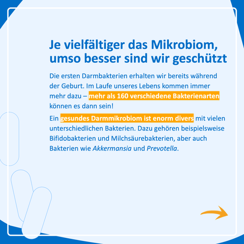 Je vielfältiger das Mikrobiom, umso besser sind wir geschützt

Die ersten Darmbakterien erhalten wir bereits während der Geburt. Im Laufe unseres Lebens kommen immer mehr dazu – über 160 verschiedene Bakterienarten können es dann sein!

Ein gesundes Darmmikrobiom ist enorm divers mit vielen unterschiedlichen Bakterien. Dazu gehören beispielsweise Bifidobakterien und Milchsäurebakterien, aber auch Bakterien wie Akkermansia und Prevotella.