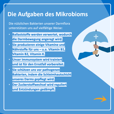 Die Aufgaben des Mikrobioms

Die nützlichen Bakterien unserer Darmflora unterstützen uns auf vielfältige Weise

    Ballaststoffe werden verwertet, wodurch die Darmbewegung angeregt wird
    Sie produzieren einige Vitamine und Nährstoffe für uns – u.a. Vitamin B1, Vitamin B2, Vitamin K
    Unser Immunsystem wird trainiert und ist für den Ernstfall vorbereitet
    Sie schützen uns vor pathogenen Bakterien, indem die Schleimhautschicht unseres Darms gepflegt wird
    Der Zuckerstoffwechsel wird reguliert und Entzündungen gedämpft