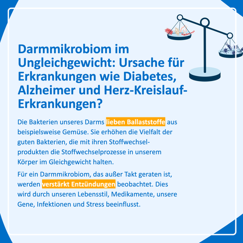 Ein Darmmikrobiom im Ungleichgewicht: Ursache für Erkrankungen wie Diabetes, Alzheimer und Herz-Kreislauf-Erkrankungen?

Die Bakterien unseres Darms lieben Ballaststoffe aus beispielsweise Gemüse. Sie erhöhen die Vielfalt der guten Bakterien, die mit ihren Stoffwechselprodukten die Stoffwechselprozesse in unserem Körper im Gleichgewicht halten.

Für ein Darmmikrobiom, das außer Takt geraten ist, werden verstärkt Entzündungen beobachtet. Dies wird durch unseren Lebensstil, Medikamente, unsere Gene, Infektionen und Stress beeinflusst.