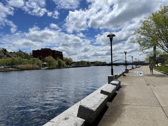 River walkway with a person walking, street lamps, green trees, and a bridge in the distance under a blue sky with clouds.