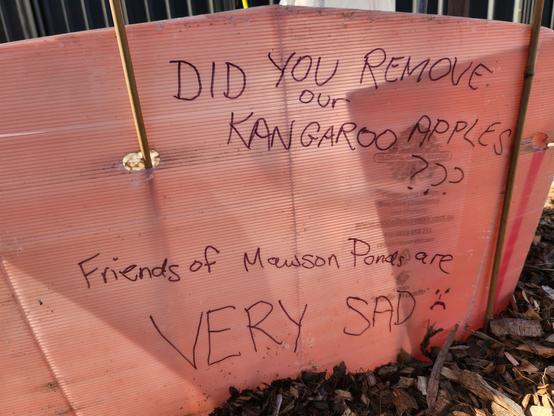 Pink tree guard with notice written on it:
"Did you remove our kangaroo apples? Friends of Mawson Ponds are VERY sad :( "