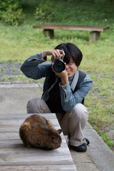 The photographer finds her position and has found the best subject matter, which of course, is a beautiful dark brown cat…