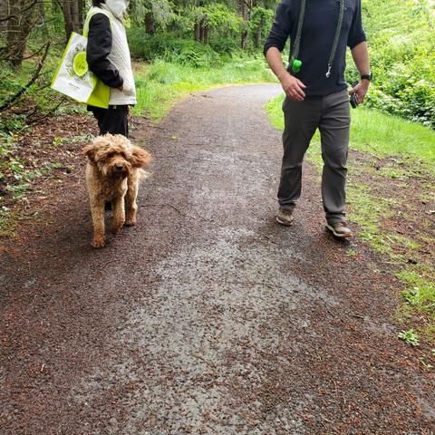 A brown medium sized dog on walking trail. My mom's on the left behind dog & to right is owner of dog.