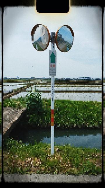 A pole holding two round parabolic road mirrors stands in front of flooded rice paddies. I've pixelated most of the image and superimposed an old film filter.