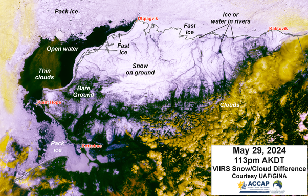 A VIIRS false color image from 113pm AKDT May 29, 2024 showing the distribution of snow cover, bare ground, sea ice and open ocean.