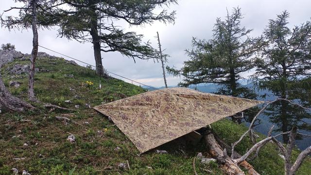 Improvised Tarp-Shelter