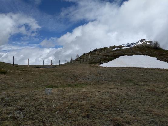 A biologist hiking up a mountain slope with snowcapped mountains in the background.