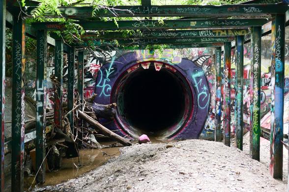 A large diameter storm drain inlet painted with a purple monster with small horns and eyes. There are some small metal "teeth" protruding from the top of the pipe. All around is ironwork with graffiti and debris. 

f2.0, 1/50s, iso200, 40mm