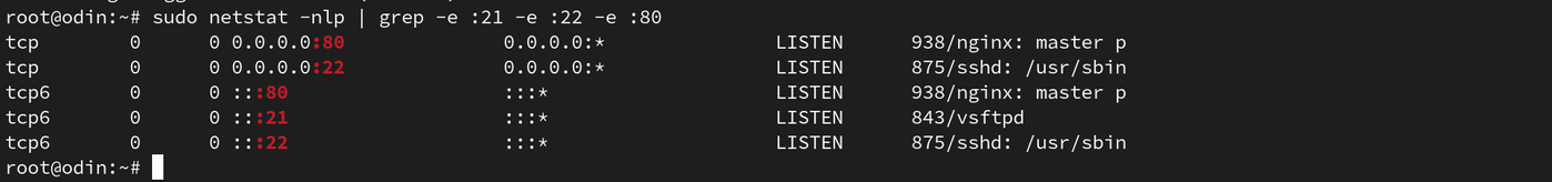screenshot showing result of sudo netstat -nlp