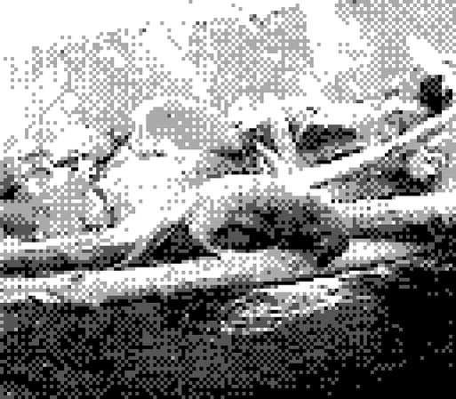 a 2-bit, black and white photo of an otter at the Oregon zoo. the otter is somewhat hard to make out against the logs its climbing on with the incredibly low pixel count resolution of Gameboy Camera photos. i actually dont remember for sure if the pictured animal is an otter, beaver, or some other woodland/water creature.