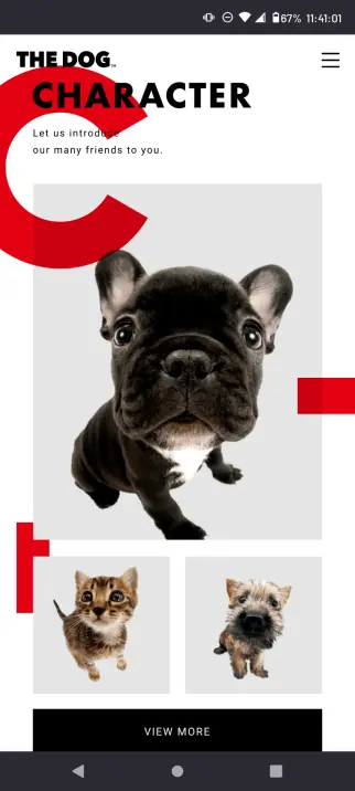 A screenshot to of "THE DOG" website showing 2 dogs and 1 cat with a focus on closeup noses