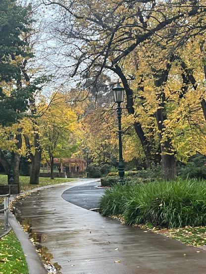 Vivid yellow and green autumn colors in formal gardens