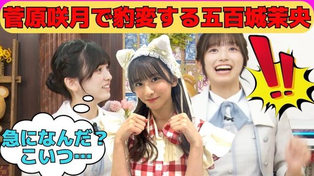 【池田瑛紗・五百城茉央】菅原咲月が好きすぎて豹変するまおちゃんと困惑するてれぱん/文字起こし(乃木坂46・猫舌showroom)