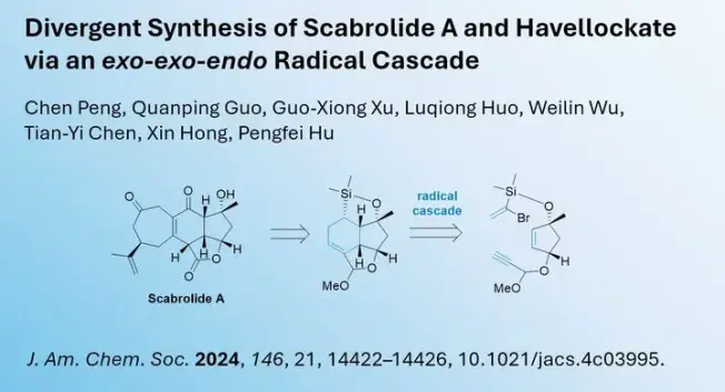 Divergent Synthesis of Scabrolide A and Havellockate via an exo-exo-endo Radical Cascade

Chen Peng, Quanping Guo, Guo-Xiong Xu, Luqiong Huo, Weilin Wu, Tian-Yi Chen, Xin Hong, Pengfei Hu

J. Am. Chem. Soc. 2024, 146, 21, 14422–14426, 10.1021/jacs.4c03995.