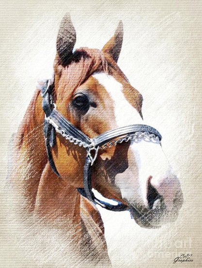 Justify