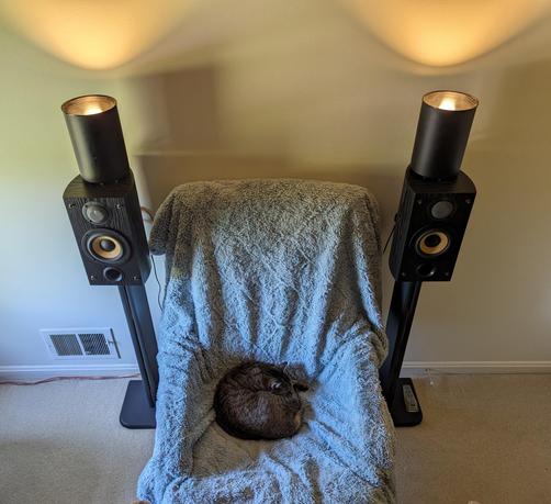 Photograph of Ally, a grey and brown tabby cat, curled up on a turquoise furry blanket draped over a chair placed against a wall between two bookshelf speakers on stands, atop which are canister lamps casting their light cones on the wall.