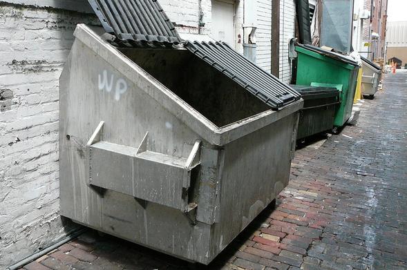An alley lined with dumpsters. Meant to communicate "waste."