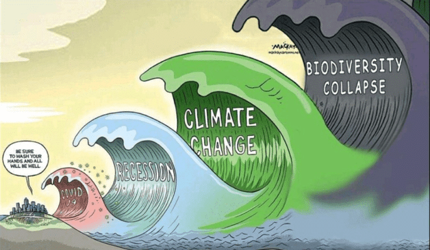 image symbolizing that the real threat of our time is not only climate change but also biodiversity collapse