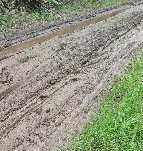 Mit Schlamm, Morast und sonstigen Ungemütlichkeiten überdeckter Radweg zwischen Bous und Fraulautern, Rechts der Saar