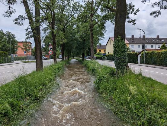 A small river, almost out of control...