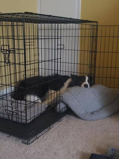 A dog sleeping in his crate. He's propped the pillow up onto the edge of the crate and he's sleeping on it