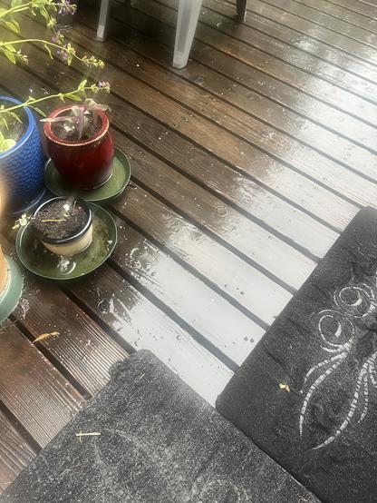 Wet Wooden deck from rain. Plants on left side with base dishes full from rain. Black welcome mats on right side.
