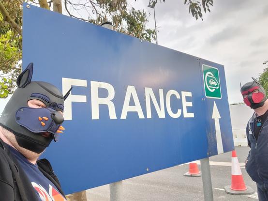 two human pups standing next to a sign pointing to "France" and a logo showing a car in a train