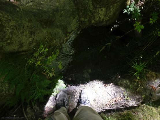 Looking down Henderson Gulch at the almost crossing.

Looking directly down past shoes on a log to water some 8-10 feet lower. On the other side of the water, just a step away, is a growing tree. The log probably isn't quite dead yet either. A few plants poke out from the edges.