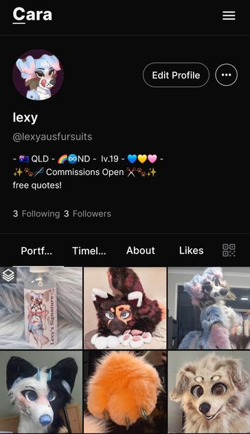 Screenshot of my Cara profile