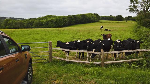 #VisualSearch is #QuiteCool; but, #IT's the #PrideOrange #WarMachine and #SomeCows...