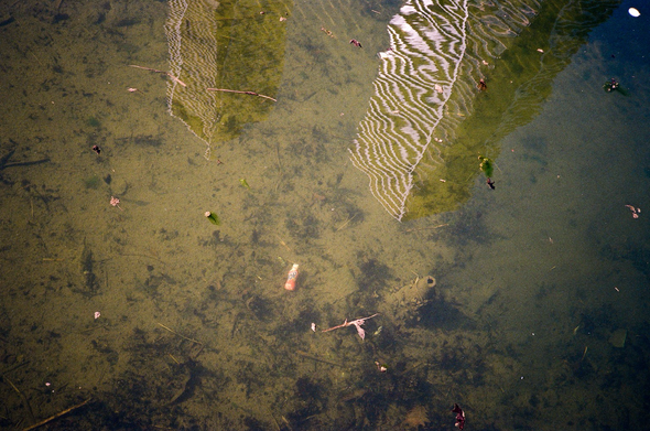 Modern condo towers are reflected in shallow water. On the bottom there is discarded drink container and a silt covered pylon.