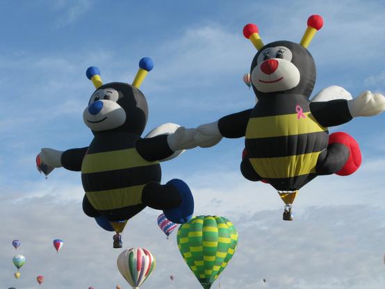 A picture of two Bumble Bee hot air balloons (Joey and Lilly) holding hands as they launch at the Albuquerque International Balloon Fiesta.  Other hot air balloons can be seen behind them in the sky and launching.