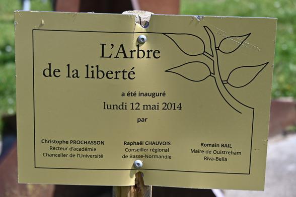Tafel für den 2014 errichteten Baum der Freiheit