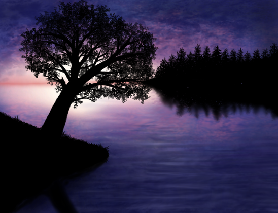 Realistic drawing of a sunset above the lake. The sky and water are mostly purple, with brighter shade in central part and pink-orange horizon line. There is big tree silhouette visible on the left side and more distant forest, with reflection, on right.