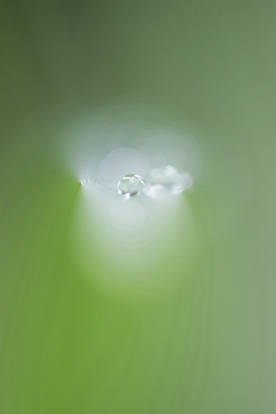 Raindrop