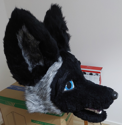 Ein Silberfuchs-Fursuitkopf mit blauen Augen auf einem Karton.